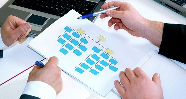 Modelo de organograma de uma empresa ajuda a entender a estrutura empresarial