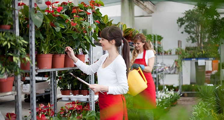 Empresária de floricultura com uma ajudante: Como registrar um funcionário sendo MEI