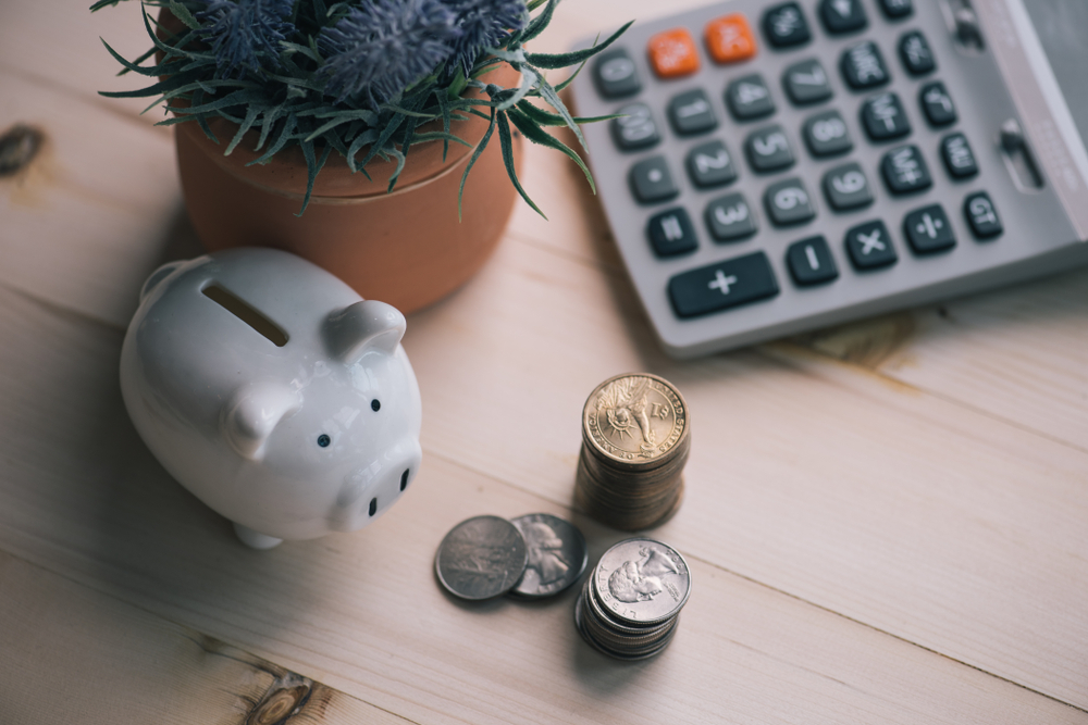 Imagem mostra cofrinho em formato de porco, moedas, uma calculadora e um vaso com um planta em cima de uma mesa.